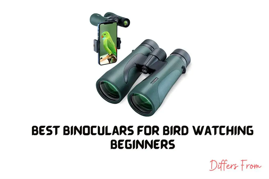 Best binoculars for bird watching beginners